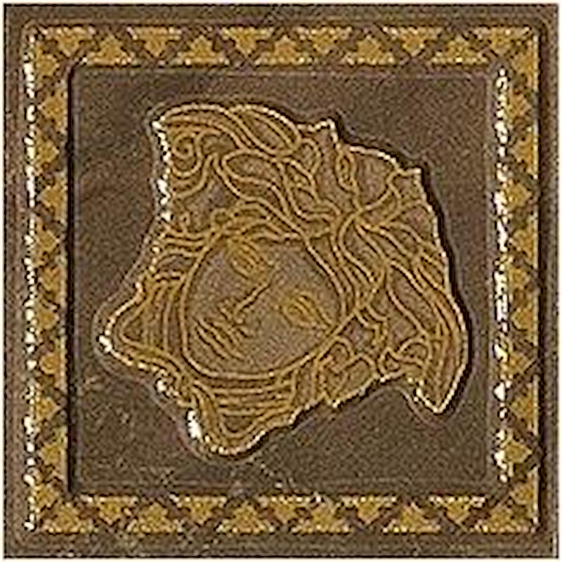 VERSACE EMOTE TOZZETTO SABBIATO PULPIS MARRONE 10x10 cm 9.5 mm Lapped