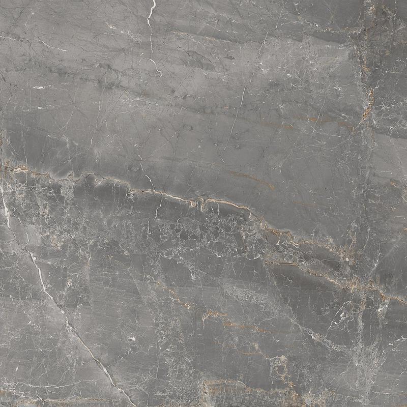 CERDOMUS Sybil Silver 60x60 cm 9 mm polished